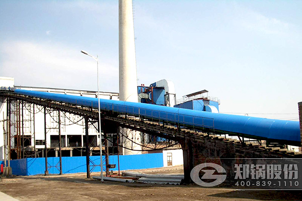 20t生物質(zhì)燃料鍋爐脫硫脫硝一體化技術(shù)解決方案