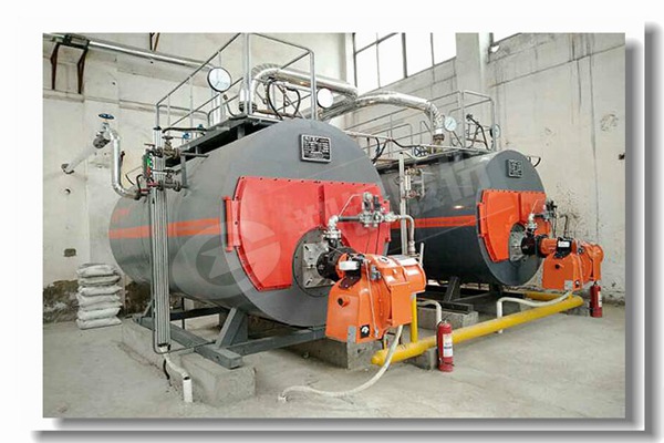 蘭州專(zhuān)業(yè)生物質(zhì)蒸汽鍋爐的品牌商找哪家？