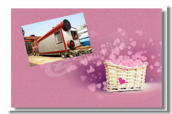 2t容量燃氣蒸汽鍋爐