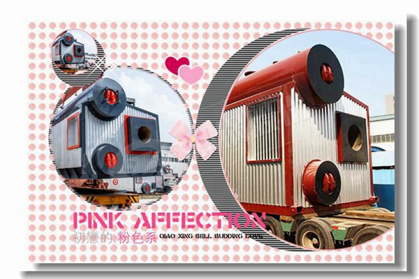 燃煤蒸汽鍋爐停爐有哪些注意事項(xiàng)？