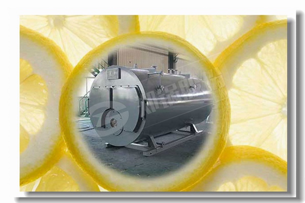 蒸汽鍋爐燒煙煤與無煙煤比較有什么區(qū)別？